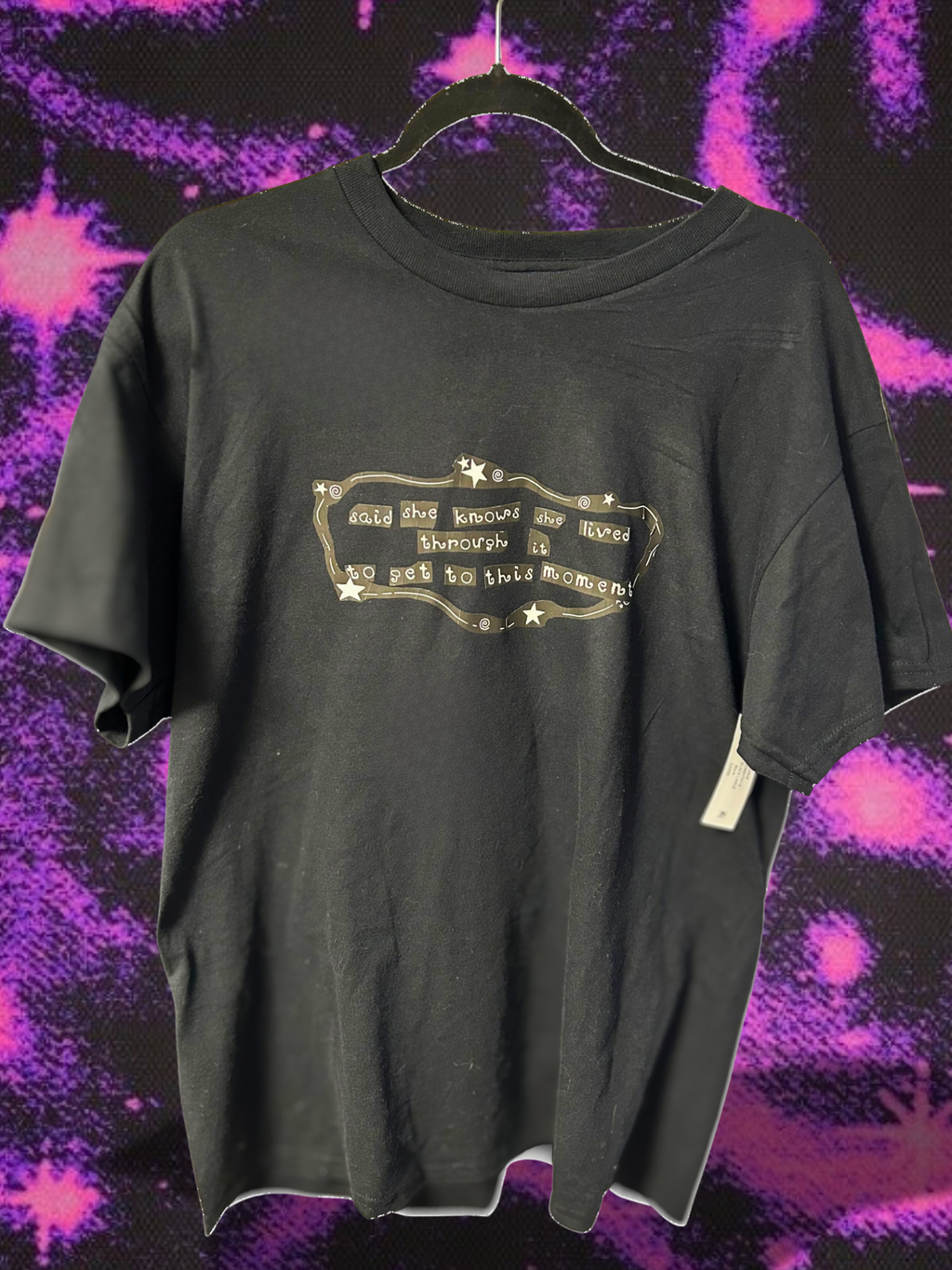 original black heavy cotton graphic tee | Phoebe bridgers inspired shirt 'graceland too'