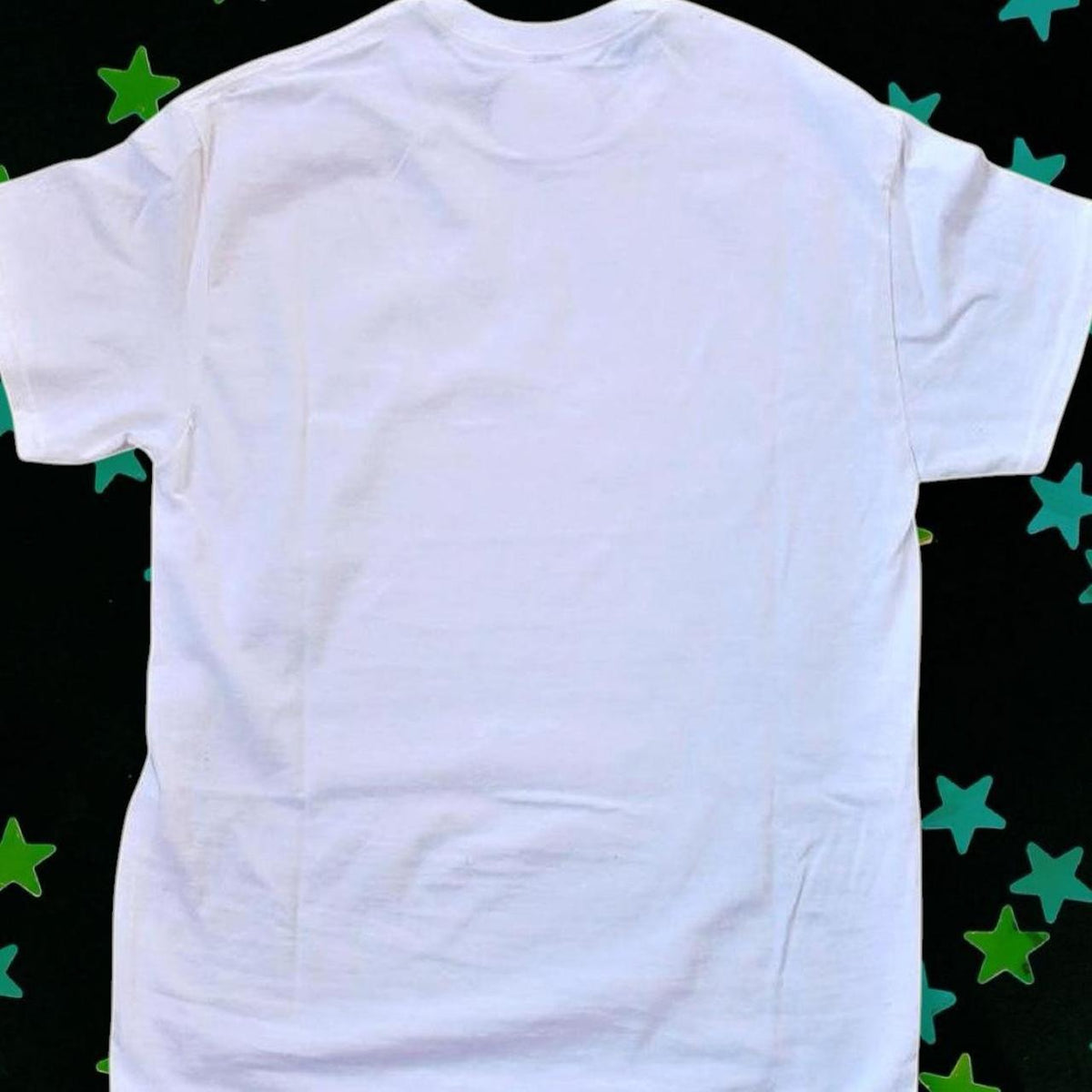 white phoebe bridgers sidelines inspired graphic tee | lost weekend fanmade concert merch